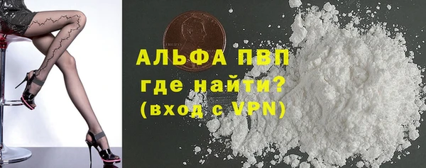 стафф Алексин