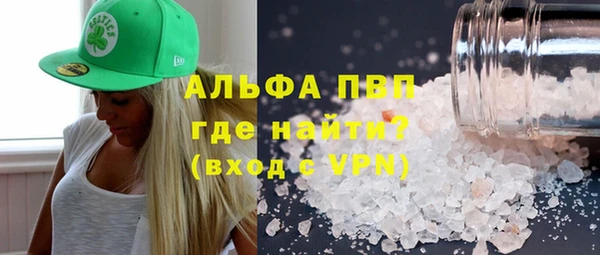 стафф Алексин