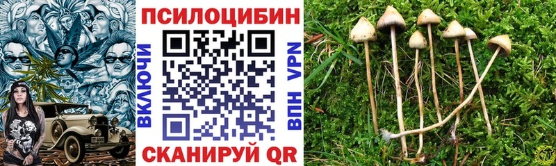 магазин продажи   Ярославль  Псилоцибиновые грибы ЛСД 